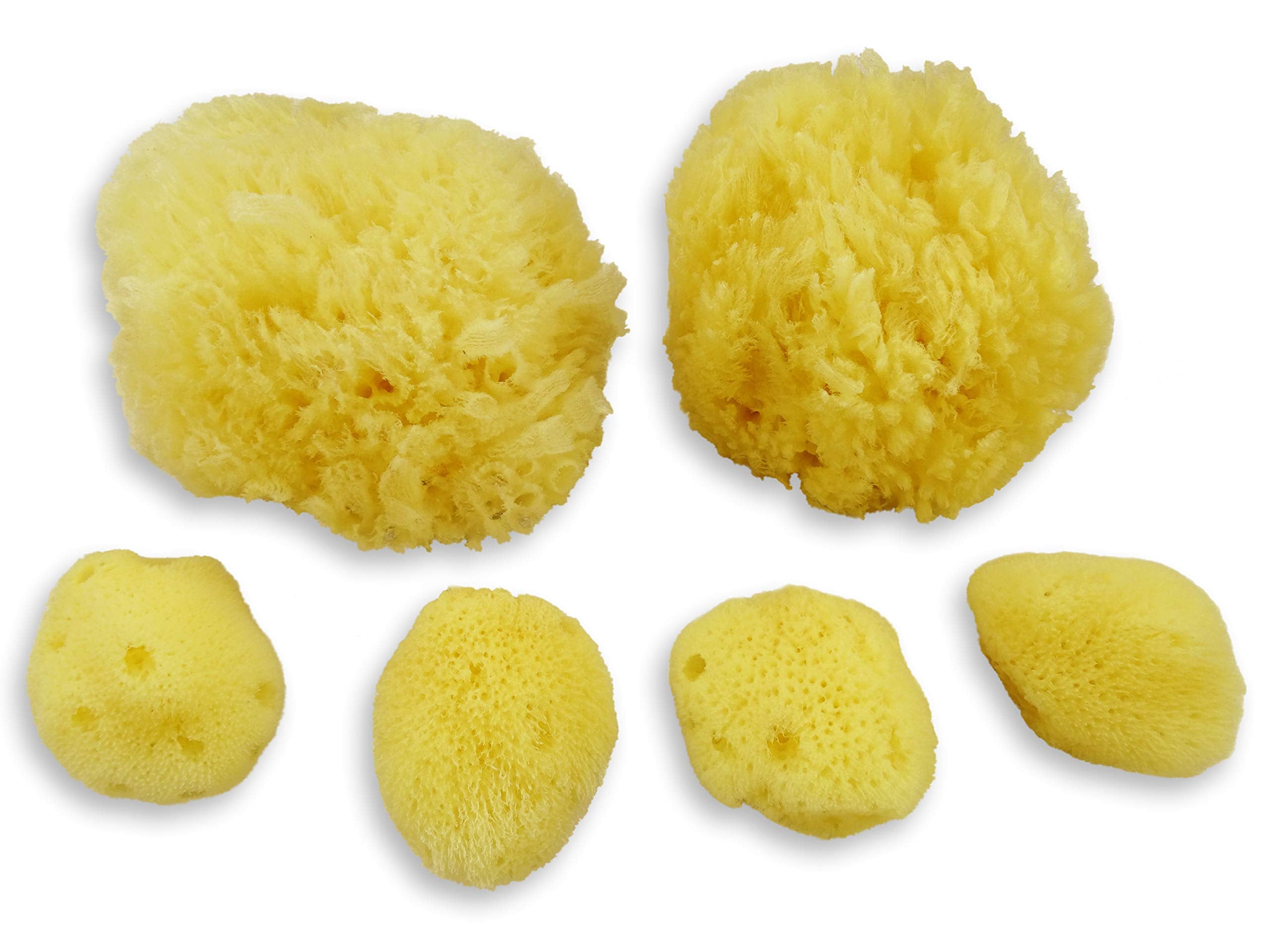 Real Sea Sponges for Babies - 6 Pk Bath Care Set, Gentle, Kind on Skin, for Bathing Washing Body Eyes, Ears Nose, Also for Newborn Toddler Kids; Baby Shower Spa Gift by Contented Infant®